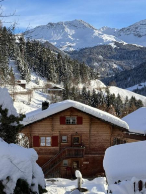 Bambi Lodge Ferienwohnung auf knapp 1400 m nahe Arosa